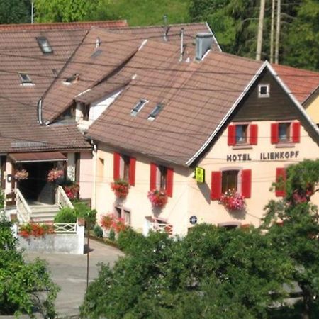 Hotel Restaurant Ilienkopf Breitenbach-Haut-Rhin Exterior photo