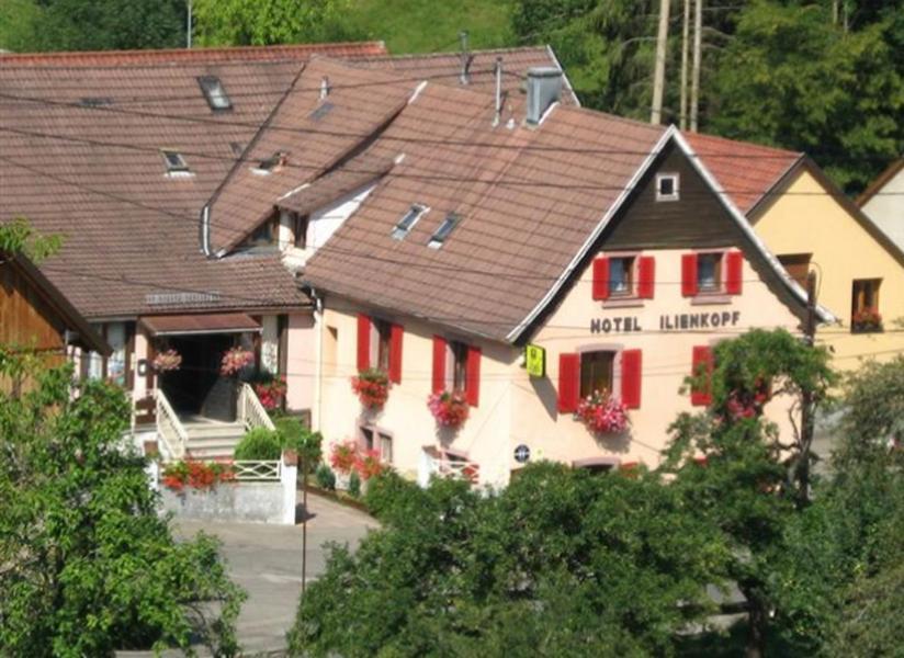 Hotel Restaurant Ilienkopf Breitenbach-Haut-Rhin Exterior photo